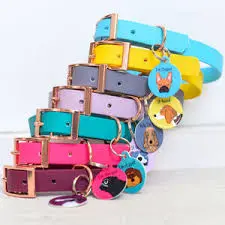 all you need for your pet thumbnail 8