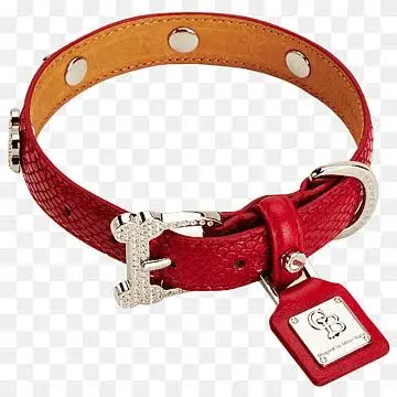 all you need for your pet thumbnail 11