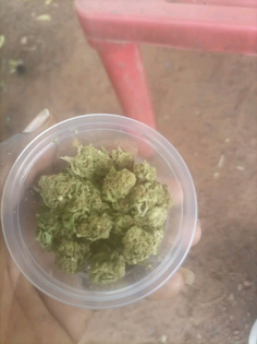 $100 - DM for it