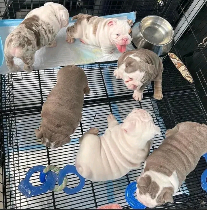 Washer and dryer thumbnail 1