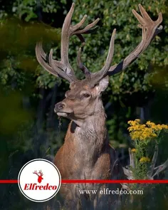 Featured post 2