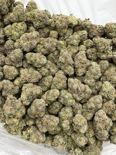 https://t.me/Marco_Nico420 contact us on Telegram