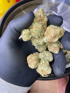 https://t.me/MarcoNico420 contact our username on telegram