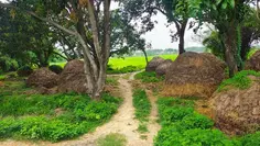 Featured post 1