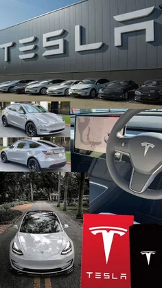 for Tesla fans around the world