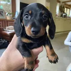 Featured post 1