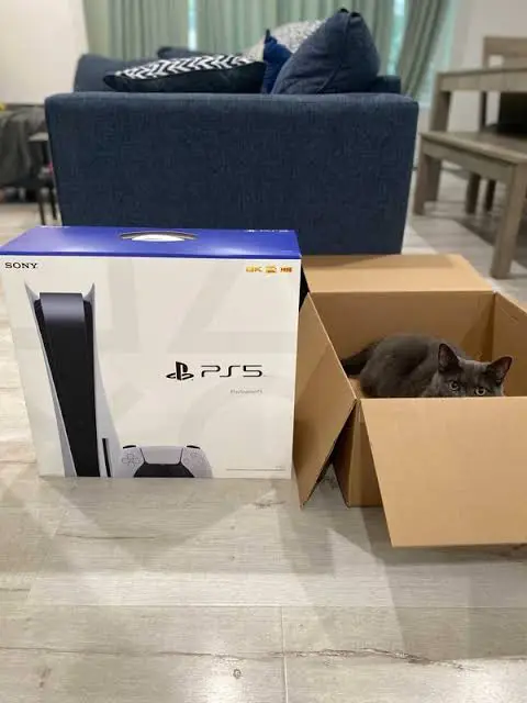 ps5 - $300 thumbnail 2