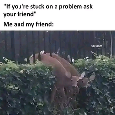 Featured post 1