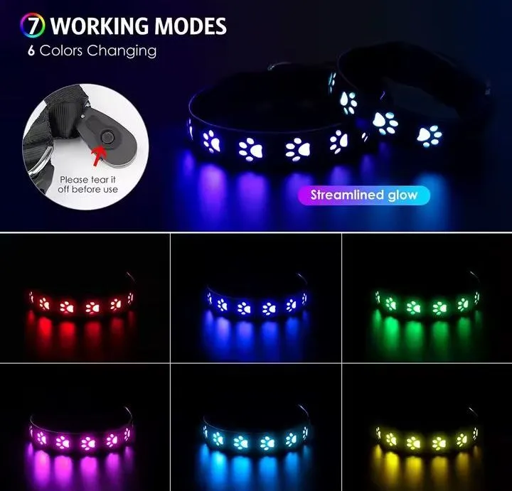 rechargeable led collar rainproof nylon usb-c luminous dog necklace 3 colors 6 m thumbnail 2