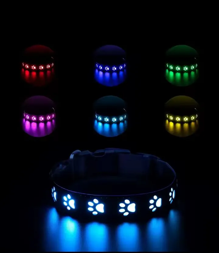 rechargeable led collar rainproof nylon usb-c luminous dog necklace 3 colors 6 m thumbnail 5