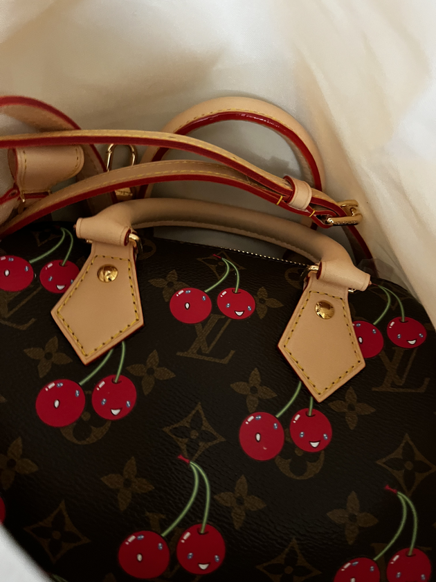 louis vuitton speedy bag brand new willing to ship anywhe - $3,500 thumbnail 2