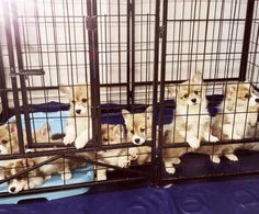 Featured post 5