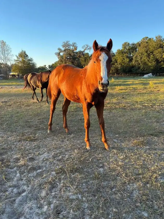 Washer and dryer thumbnail 1