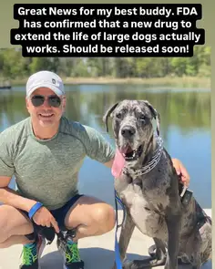 Featured post 5