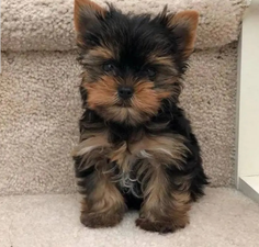 Featured post 2