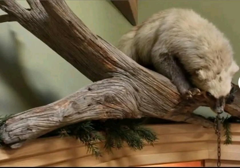 Washer and dryer thumbnail 1