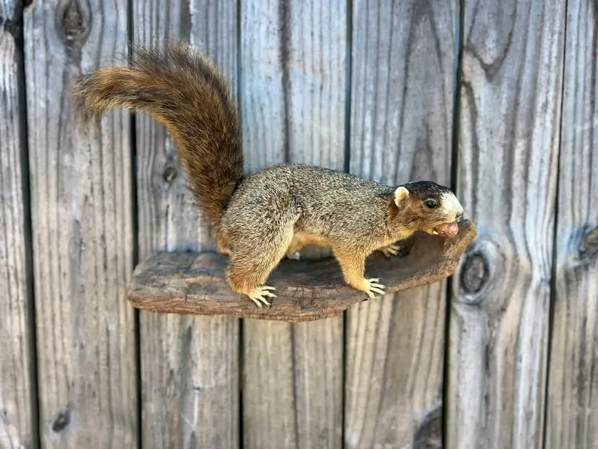 Washer and dryer thumbnail 1