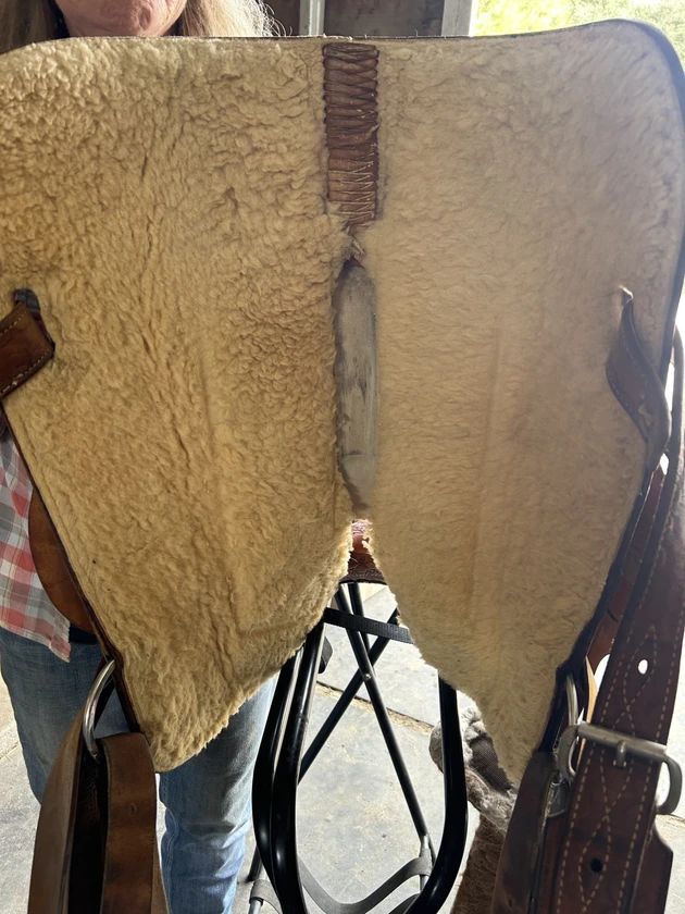 saddle for sale - $2,300 thumbnail 4