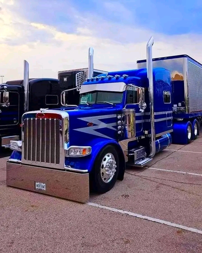 this is company trucks that we sell truck 🚛🚛 thumbnail 3