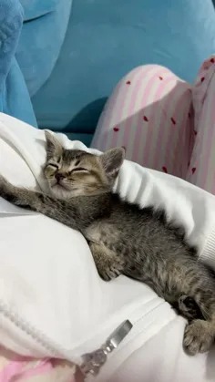 Featured post 3