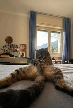 Featured post 6