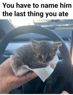 Featured post 4