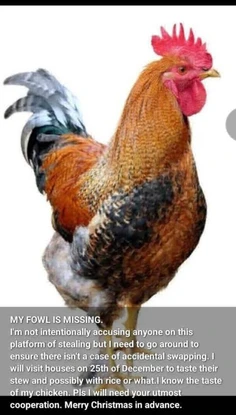 Featured post 2