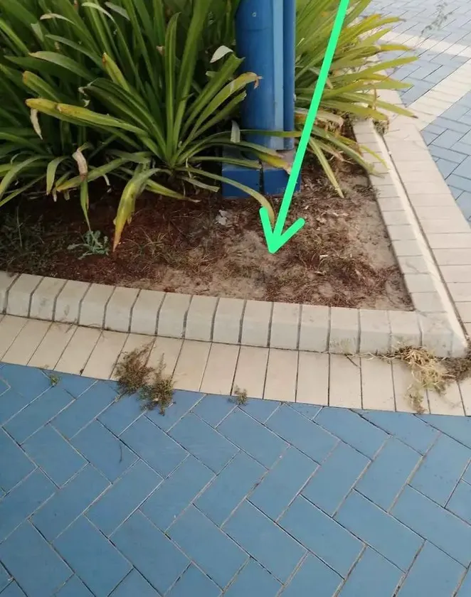 id paper and oil available - $100 thumbnail 2