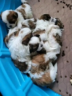 Featured post 3