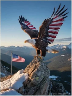 Featured post 1