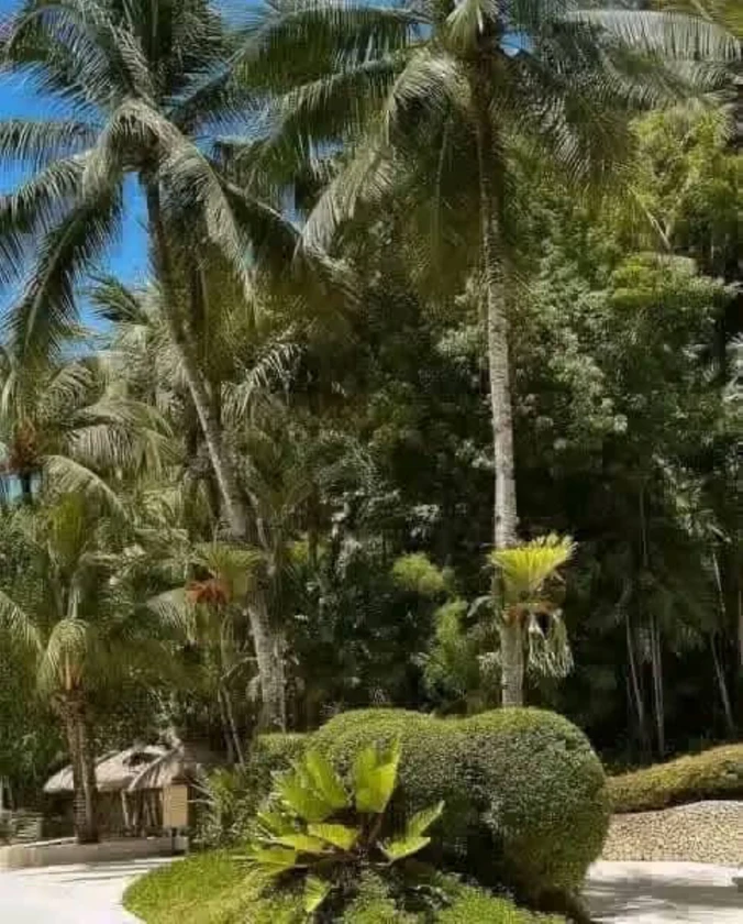 hello guys we have house for selling and rent thumbnail 3