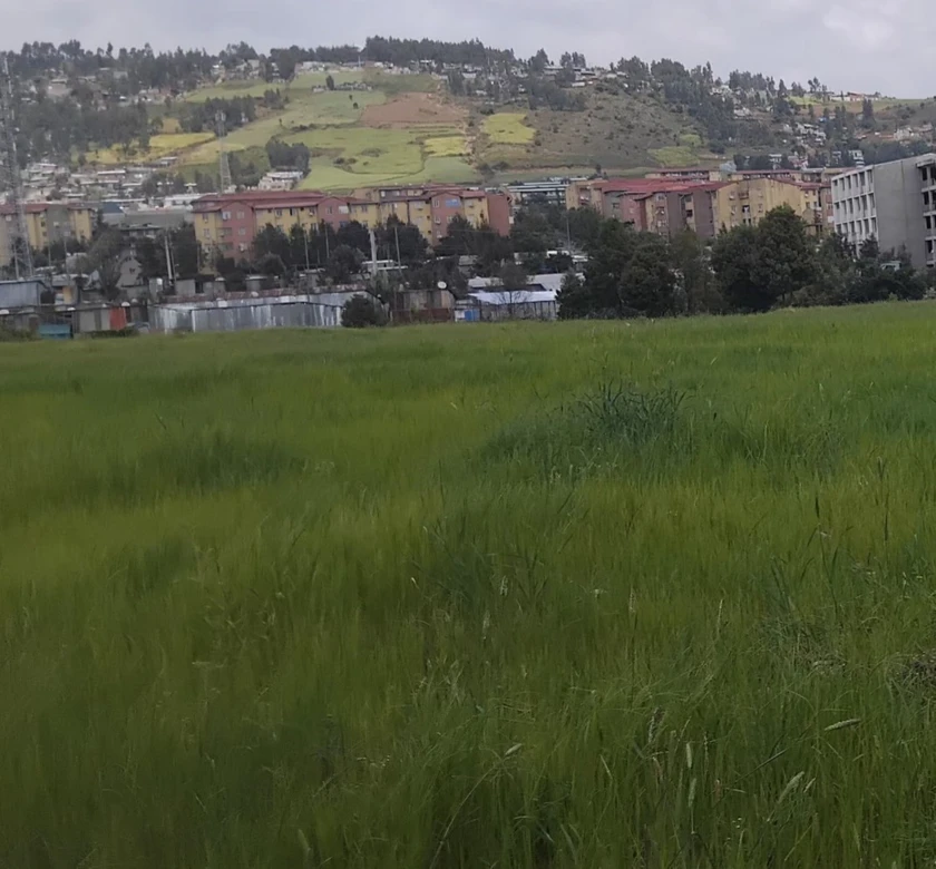 ቦታ አዲስ አበባ የካ አባዶ - $12,000,000 thumbnail 2