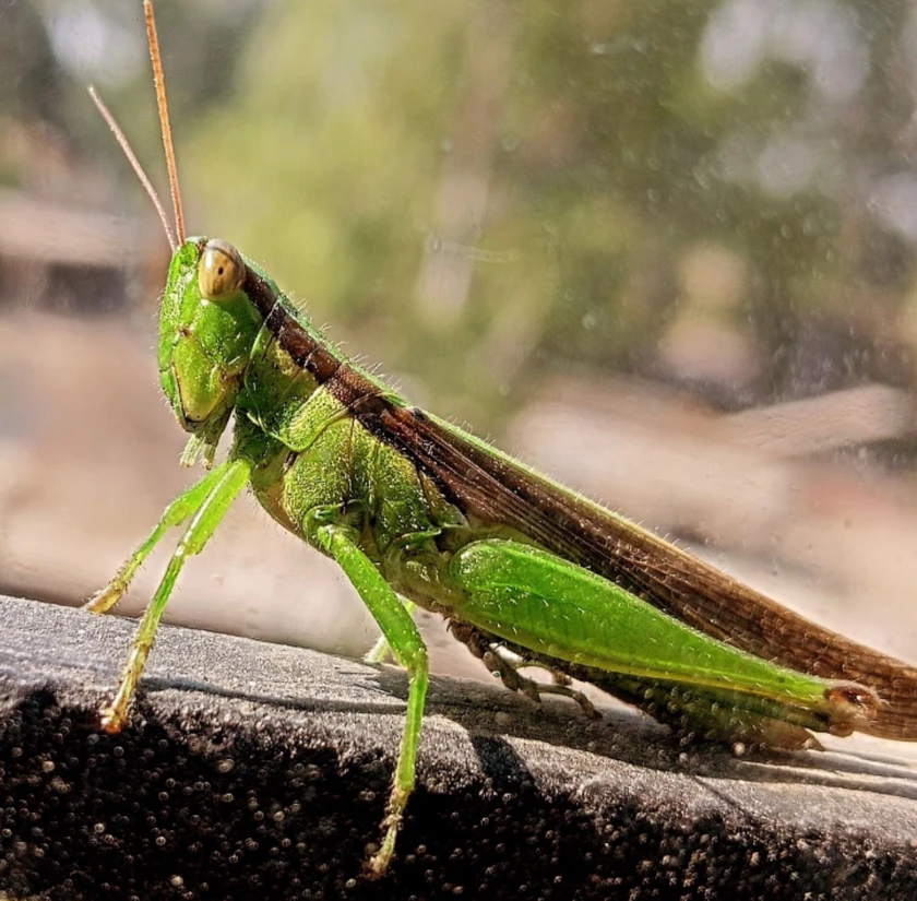 Washer and dryer thumbnail 1