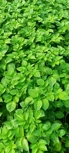 Featured post 2