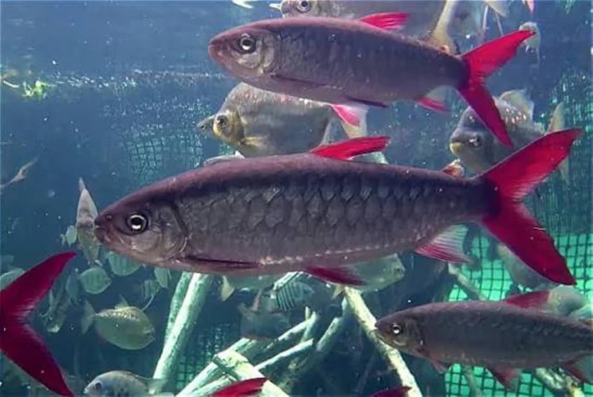 Washer and dryer thumbnail 1