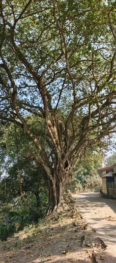 Featured post 1