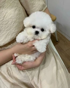 Featured post 4