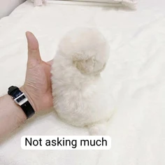 Featured post 3