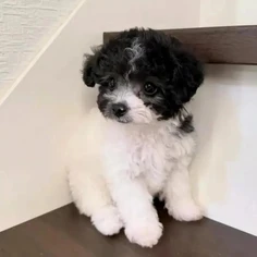 Featured post 2