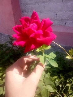 Featured post 2