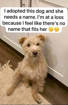 Featured post 2