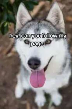 Featured post 1