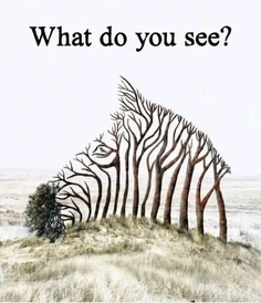 Featured post 1