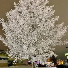 Featured post 5