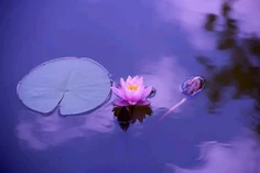 Featured post 1