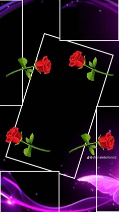 Featured post 2