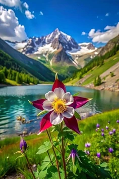 Featured post 3