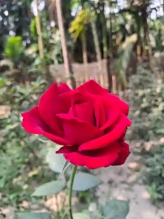 Featured post 1