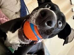 Featured post 3
