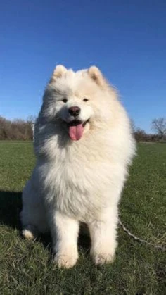 Featured post 1